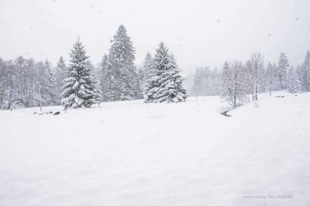 Chalet Charligustine - Gerardmer - 8P Zewnętrze zdjęcie