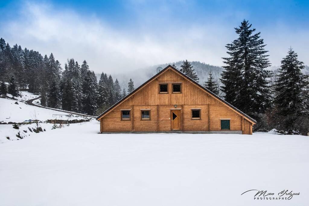 Chalet Charligustine - Gerardmer - 8P Zewnętrze zdjęcie